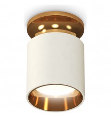 Накладной светильник Ambrella Light XS6301181 XS