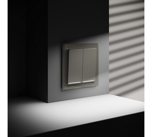 Выключатель проходной двухклавишный с подсветкой без рамки Voltum VLS020404 S70