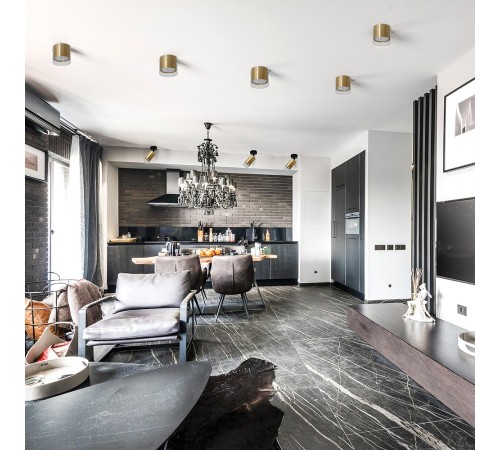 Спот Feron 48746 ML1891