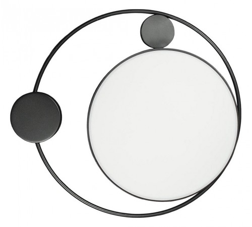 Накладной светильник Loft it 10062 Mike