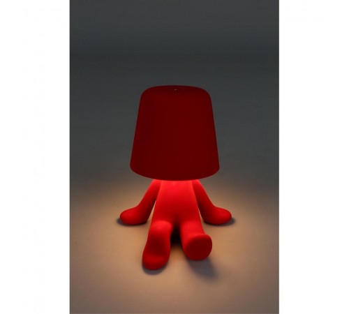 Зверь световой Aployt APL.677.24.01 Olka