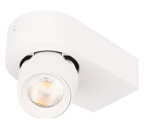 Накладной светильник Loft it 10320 White Quiet