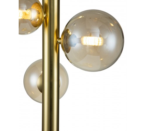 Настольная лампа декоративная Indigo 11026/4T Gold Canto