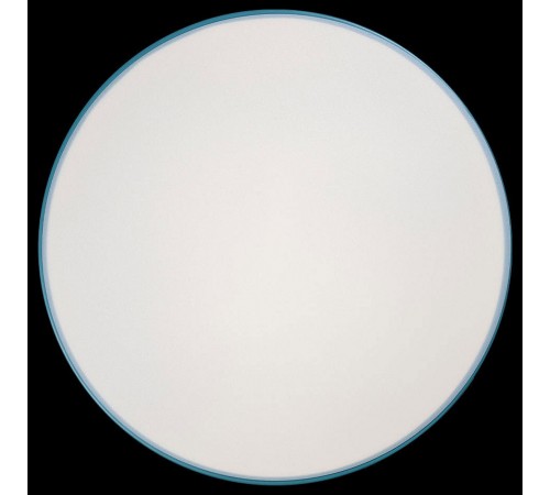 Накладной светильник Loft it 10001/36 Blue Axel