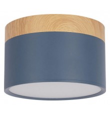 Накладной светильник Loft it 10162 Blue Grape