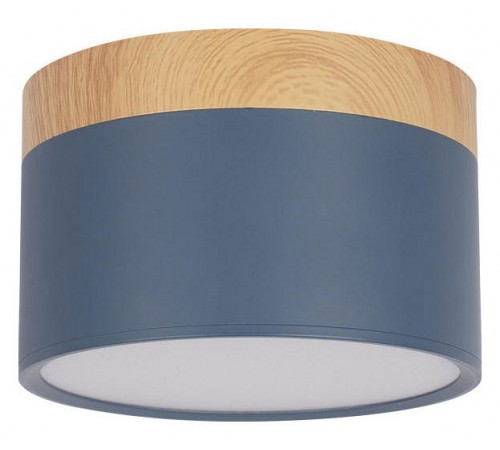 Накладной светильник Loft it 10162 Blue Grape