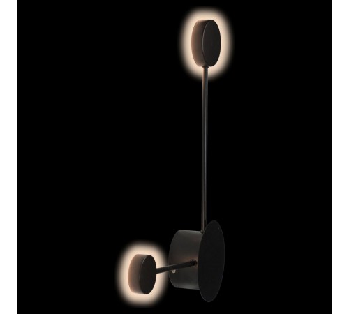 Накладной светильник Loft it 10057BK Rays