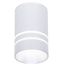 Накладной светильник Ambrella Light TN236 TN