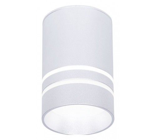 Накладной светильник Ambrella Light TN236 TN