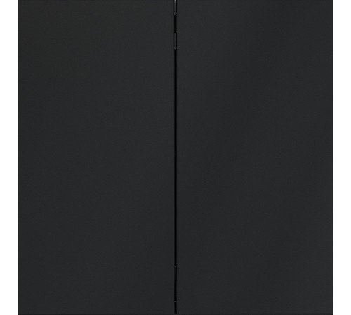 Выключатель двухклавишный без рамки Voltum VLS020607 S70