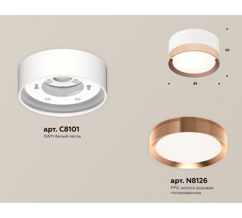 Накладной светильник Ambrella Light XS8101006 XS