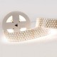 Лента светодиодная Arlight 019082(B) RT 2-2500 24V White6000 5x2 (2835, 875 LED, LUX)