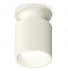 Накладной светильник Ambrella Light XS6301101 XS