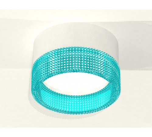 Накладной светильник Ambrella Light XS8101033 XS