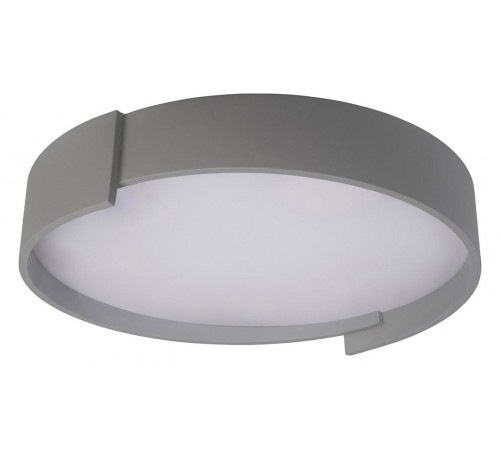 Накладной светильник Loft it 10200 Grey Coin