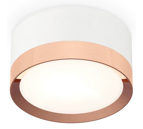 Накладной светильник Ambrella Light XS8101006 XS