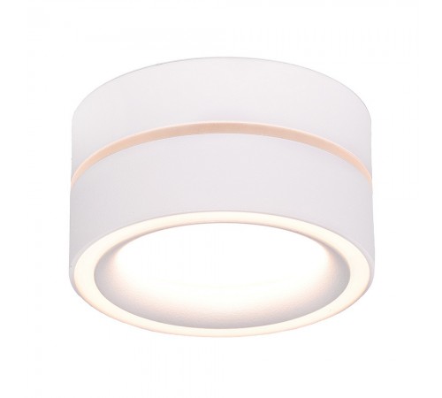 Накладной светильник Feron 48752 HL455