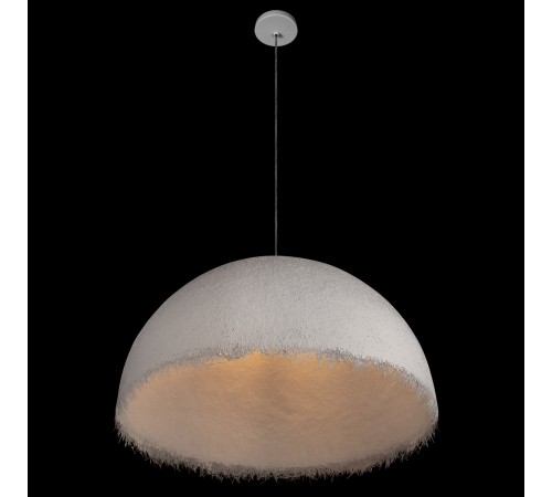 Подвесной светильник Loft it 10372/800 Plancton