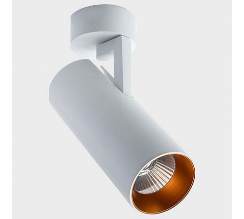 Кольцо декоративное Italline Ring for 15W gold Ring