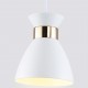 Подвесной светильник Ambrella Light TR8465 TR