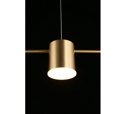 Подвесной светильник Aployt APL.017.13.18 Frania