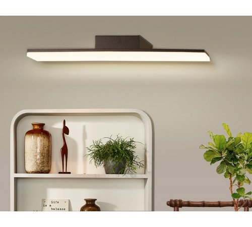 Подсветка для картины Ambrella Light FW422 FW