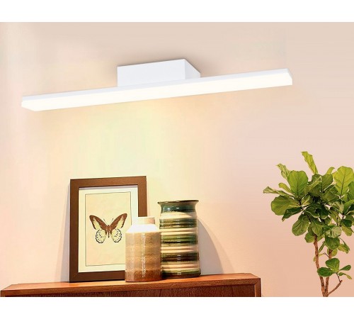 Подсветка для картины Ambrella Light FW421 FW