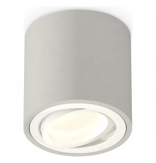 Накладной светильник Ambrella Light XS7533001 XS