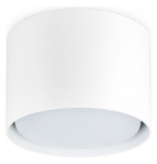 Накладной светильник Ambrella Light TN5301 TN