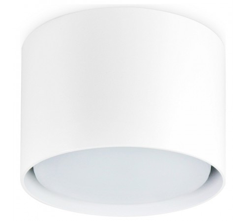 Накладной светильник Ambrella Light TN5301 TN