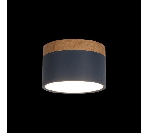 Накладной светильник Loft it 10162 Blue Grape