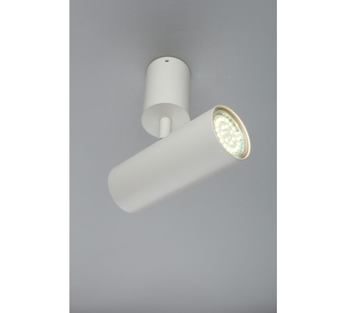 Спот Aployt APL.007.02.01 Berenis