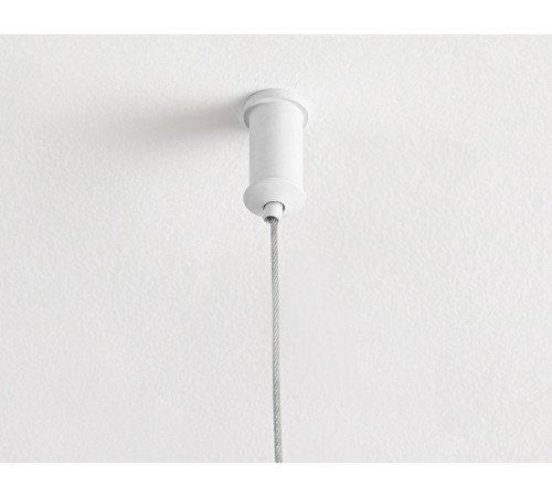 Подвесной светильник Ambrella Light FL5521 FL