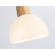 Подвесной светильник Ambrella Light TR83133 TR