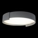 Накладной светильник Loft it 10200 Grey Coin
