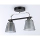 Светильник на штанге Ambrella Light TR303231 TR