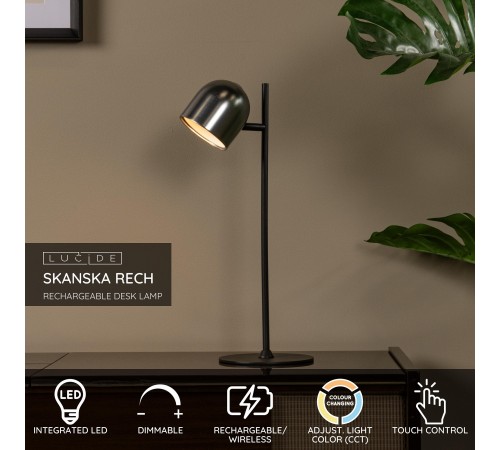 Настольная лампа декоративная Lucide 3649/03/15 Skanska Rech