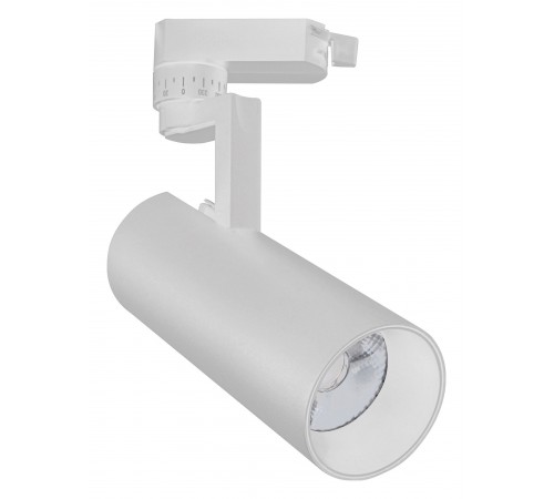 Светильник на штанге Escada 20029TRA/02LED SWH 20029