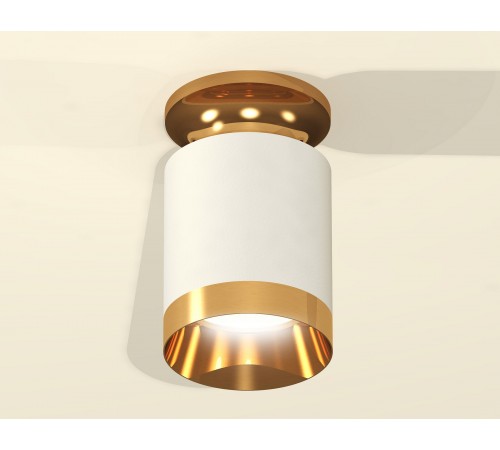 Накладной светильник Ambrella Light XS6301180 XS