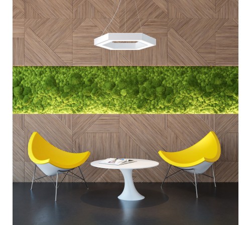 Подвесной светильник Эра Б0050556 Hexagon