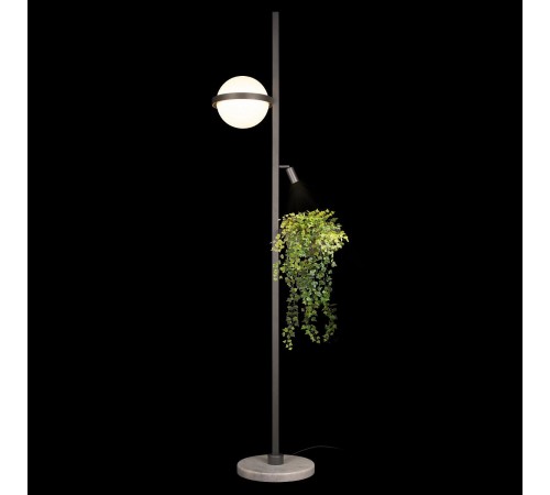 Торшер Loft it 10121/F Dark grey Jardin