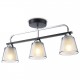 Светильник на штанге Ambrella Light TR303235 TR