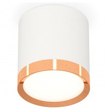 Накладной светильник Ambrella Light XS8141005 XS