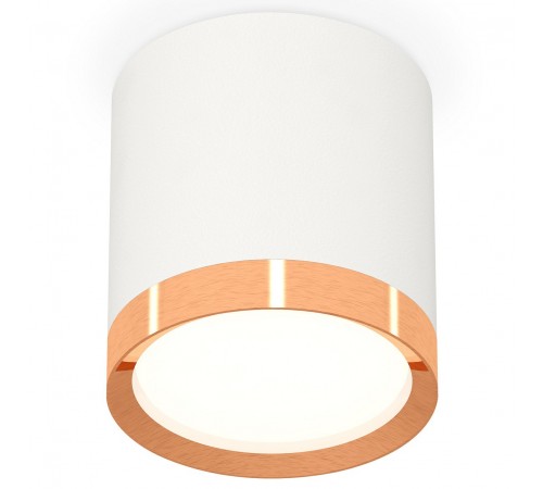 Накладной светильник Ambrella Light XS8141005 XS