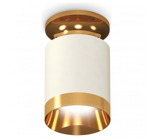 Накладной светильник Ambrella Light XS6301180 XS