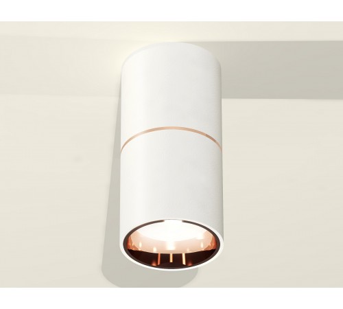 Накладной светильник Ambrella Light XS6301083 XS