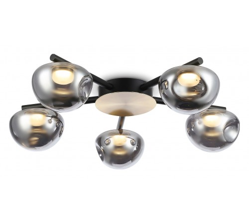 Потолочная люстра Ambrella Light LH12009 LH