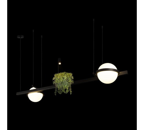 Подвесной светильник Loft it 10121/D Jardin