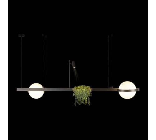 Подвесной светильник Loft it 10121/D Dark grey Jardin