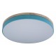 Накладной светильник Loft it 10001/36 Blue Axel